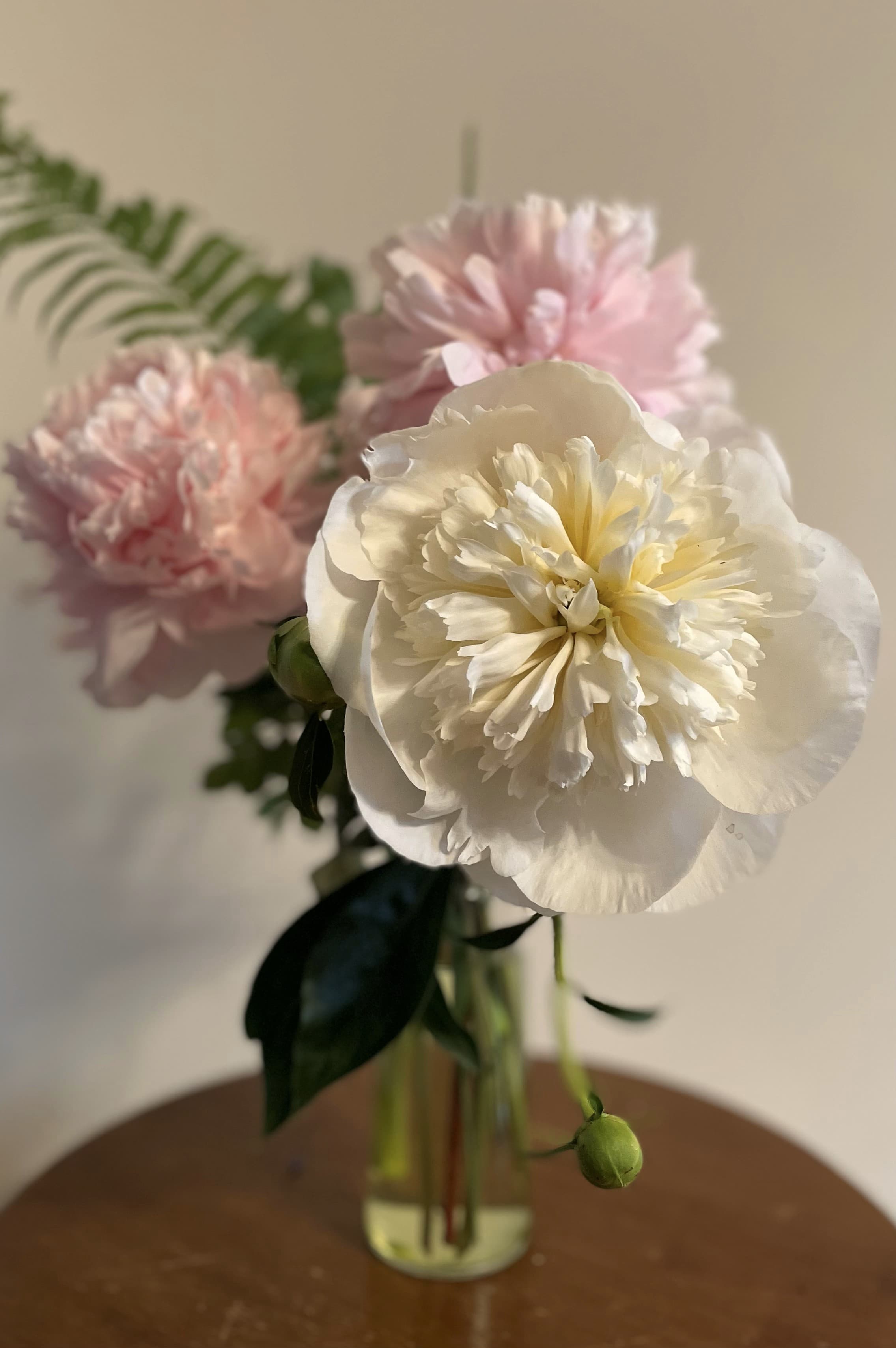 A lovely backyard bouquet