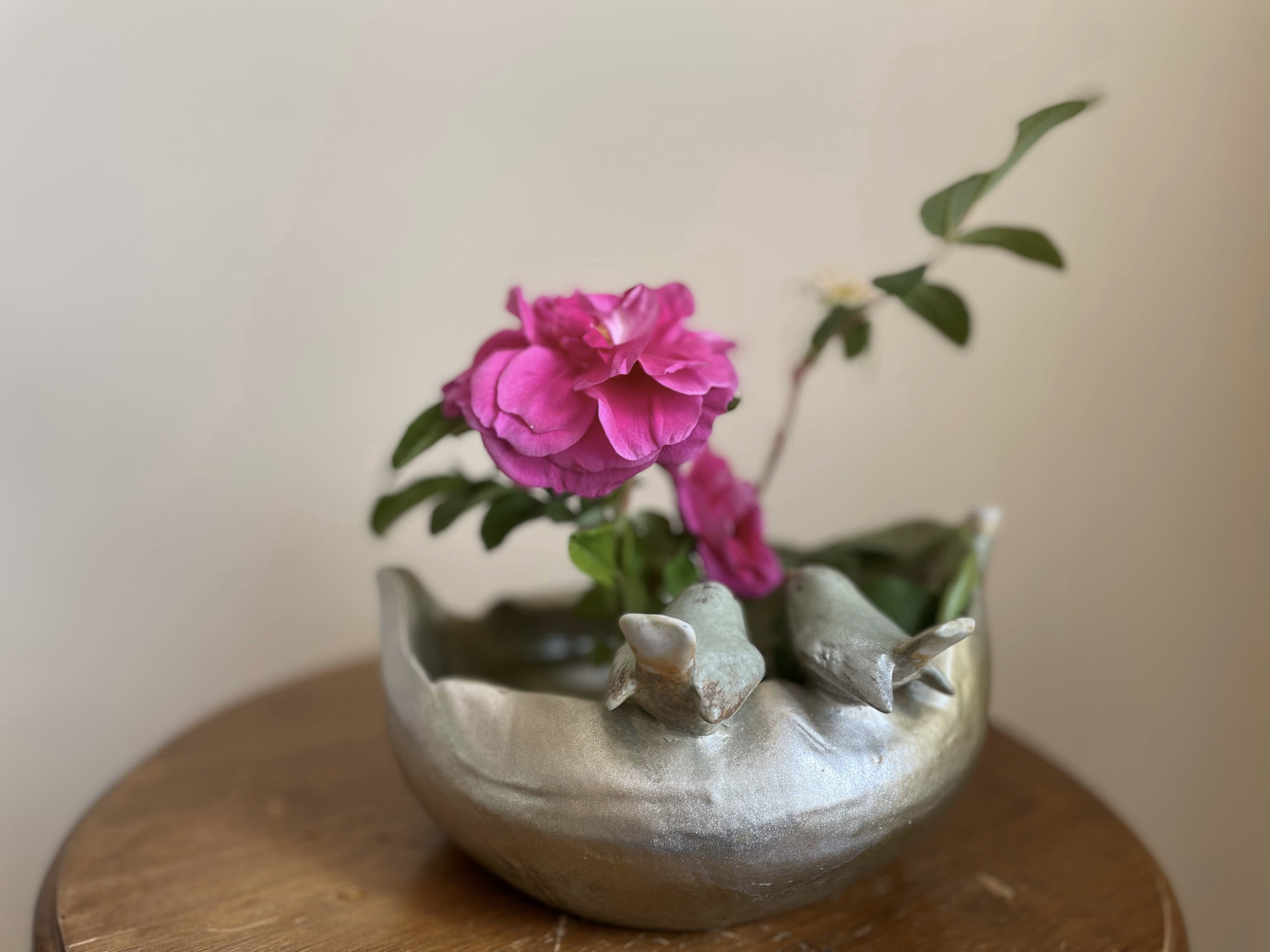 A lovely backyard bouquet